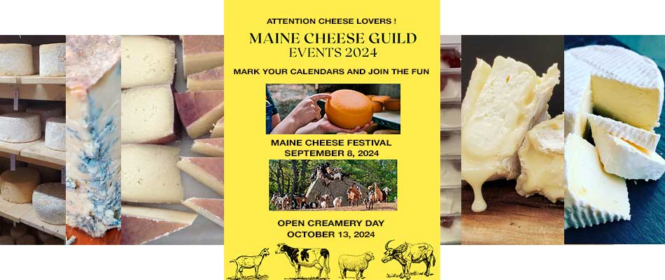 Maine Cheese Festival  and  Maine  Open Creamery Day 2024