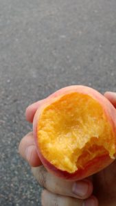 one perfect peach